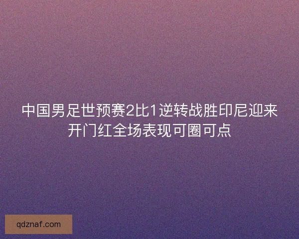 中国男足世预赛2比1逆转战胜印尼迎来开门红全场表现可圈可点 中国男足世预赛2比1逆转战胜印尼迎来开门红全场表现可圈可点