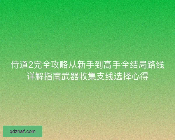 侍道2完全攻略从新手到高手全结局路线详解指南武器收集支线选择心得