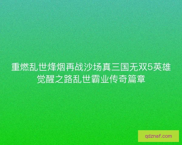 重燃乱世烽烟再战沙场真三国无双5英雄觉醒之路乱世霸业传奇篇章