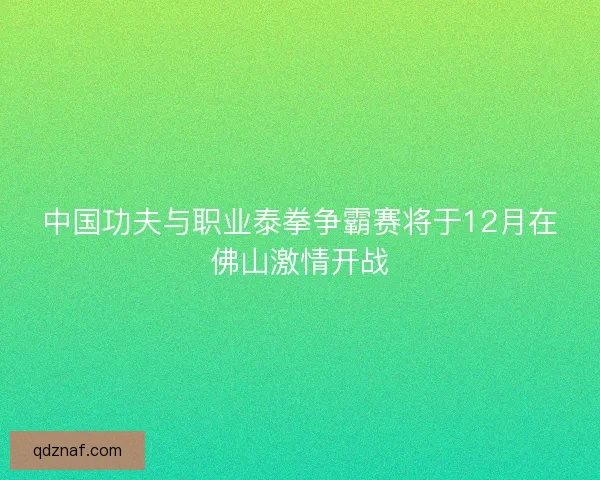 中国功夫与职业泰拳争霸赛将于12月在佛山激情开战