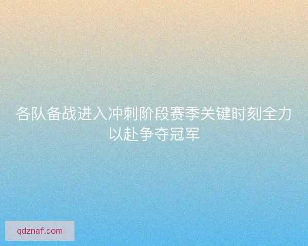各队备战进入冲刺阶段赛季关键时刻全力以赴争夺冠军